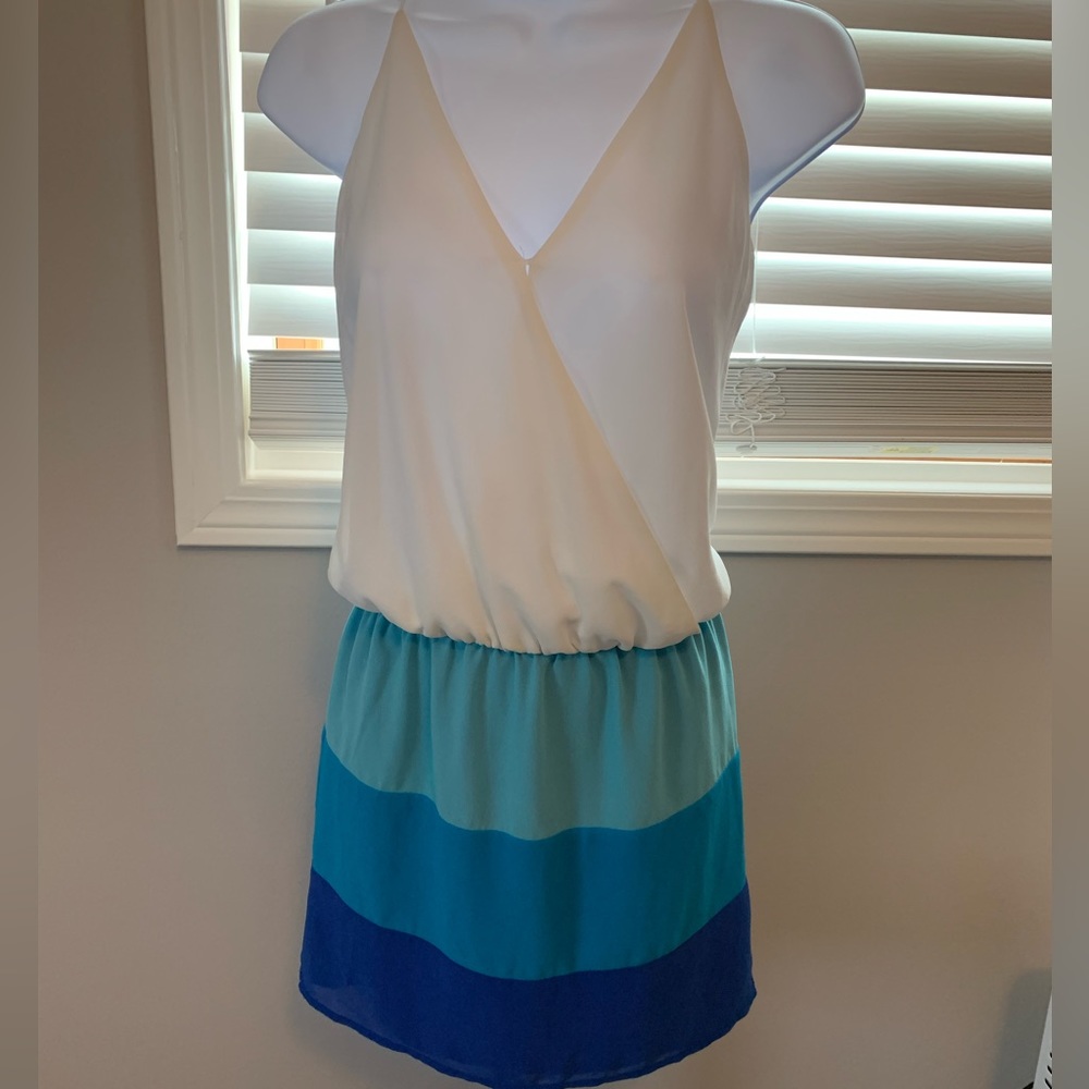 Naked Zebra Color Block Summer Dress